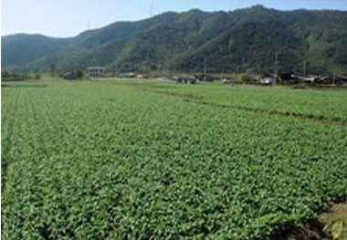 국내 이미지3